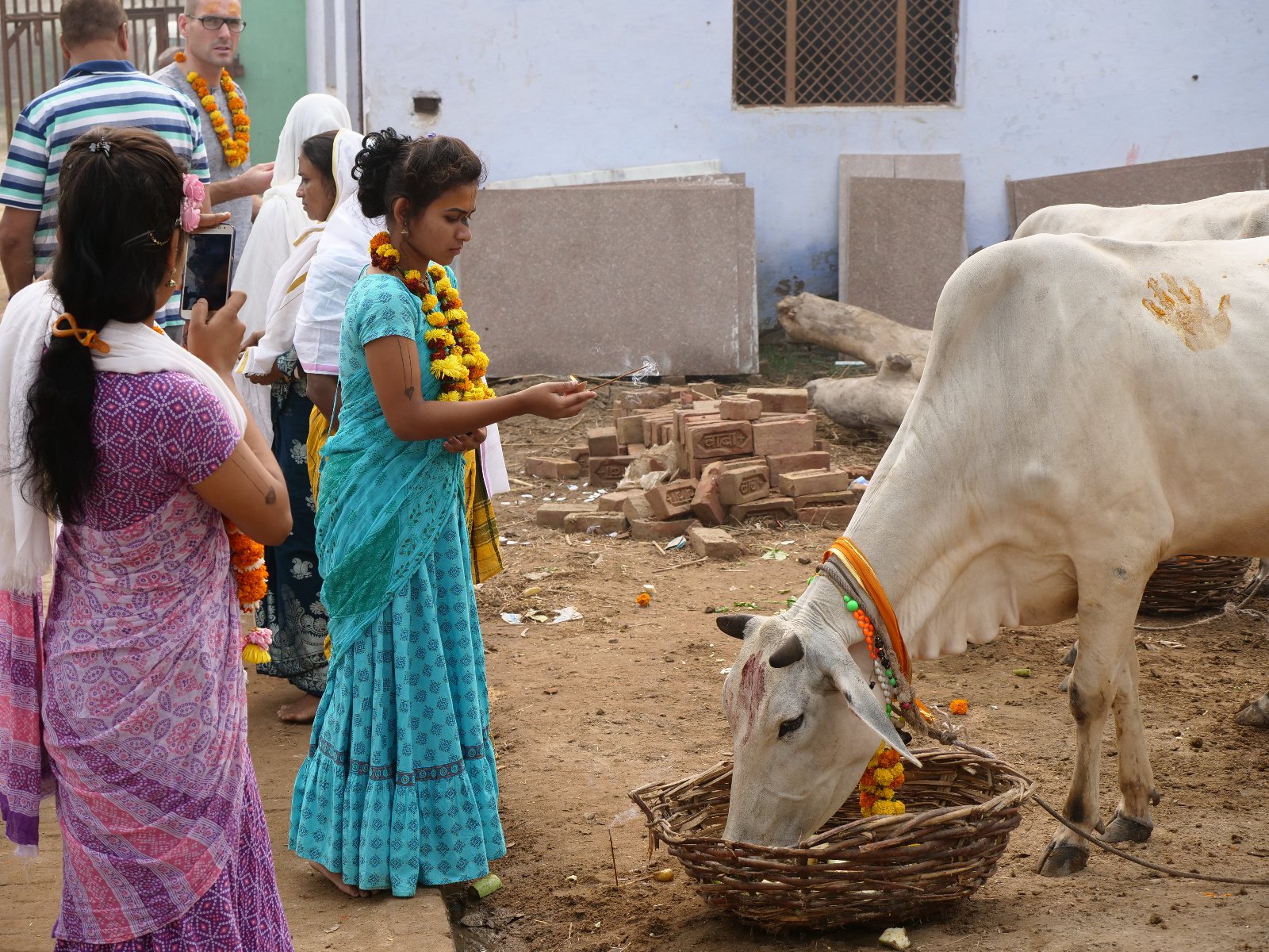  139 Gopashtami Radha kunda Govardhan 19.11.04